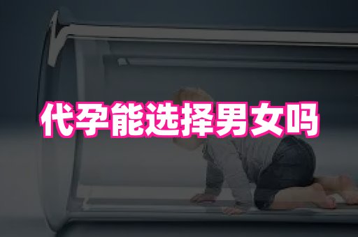 长春助孕网站 1